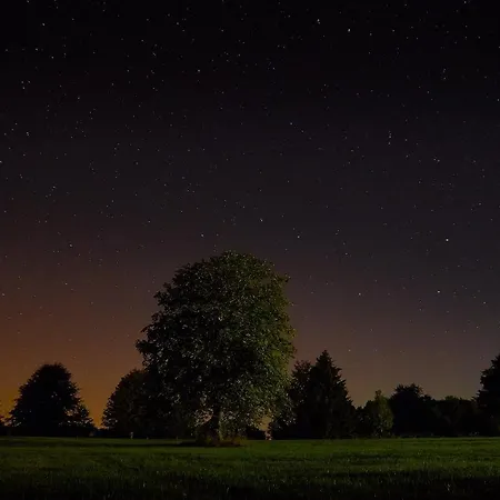 Hotell Hofgut Held 3*